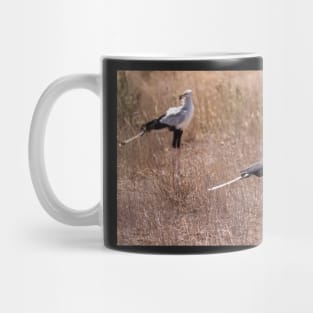 Secretary Birds Mug